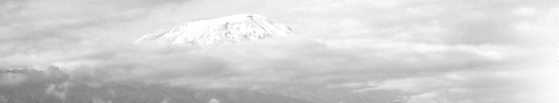 Hässleholms Kung Fu & Qi Gong